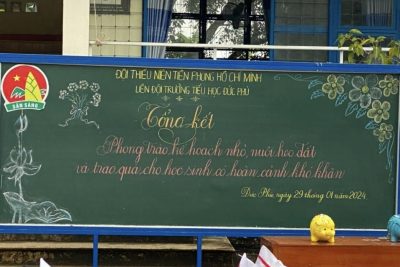 Ngày 29/01/2024 Liên đội trường tiểu học Đức Phú tổng kết phong trào Kế hoạch nhỏ ” Nuôi heo đất “. Liên đội đã phối hợp với Đoàn thanh  niên xã Đức Phú  và nhóm bạn Anh Nguyễn Tấn Anh ở TP HCM trao 20 xuất quà cho học sinh có hoàn cảnh  khó khăn nhân dịp Xuân Giáp Thìn với tổng số tiền hơn 4.000.000 đồng .